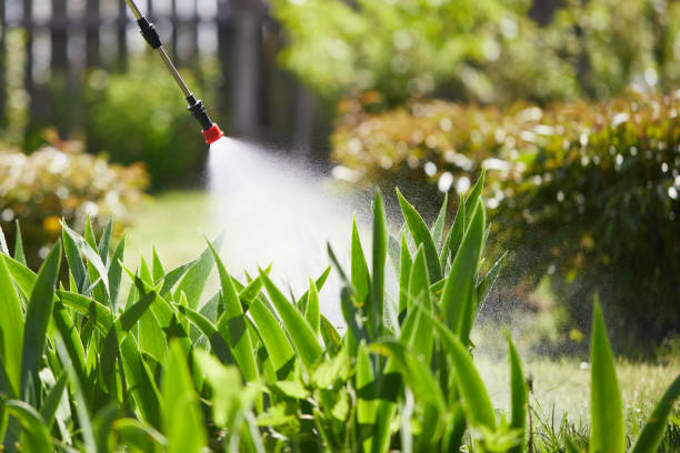 24/7 Emergency Ant Control experts in Homer, AK